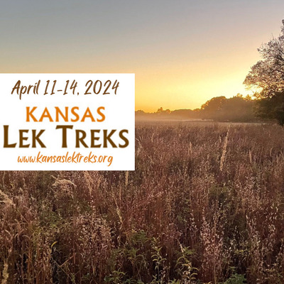 Register for the Kansas Lek Treks Prairie Chicken Festival | April 11 - 14, 2024